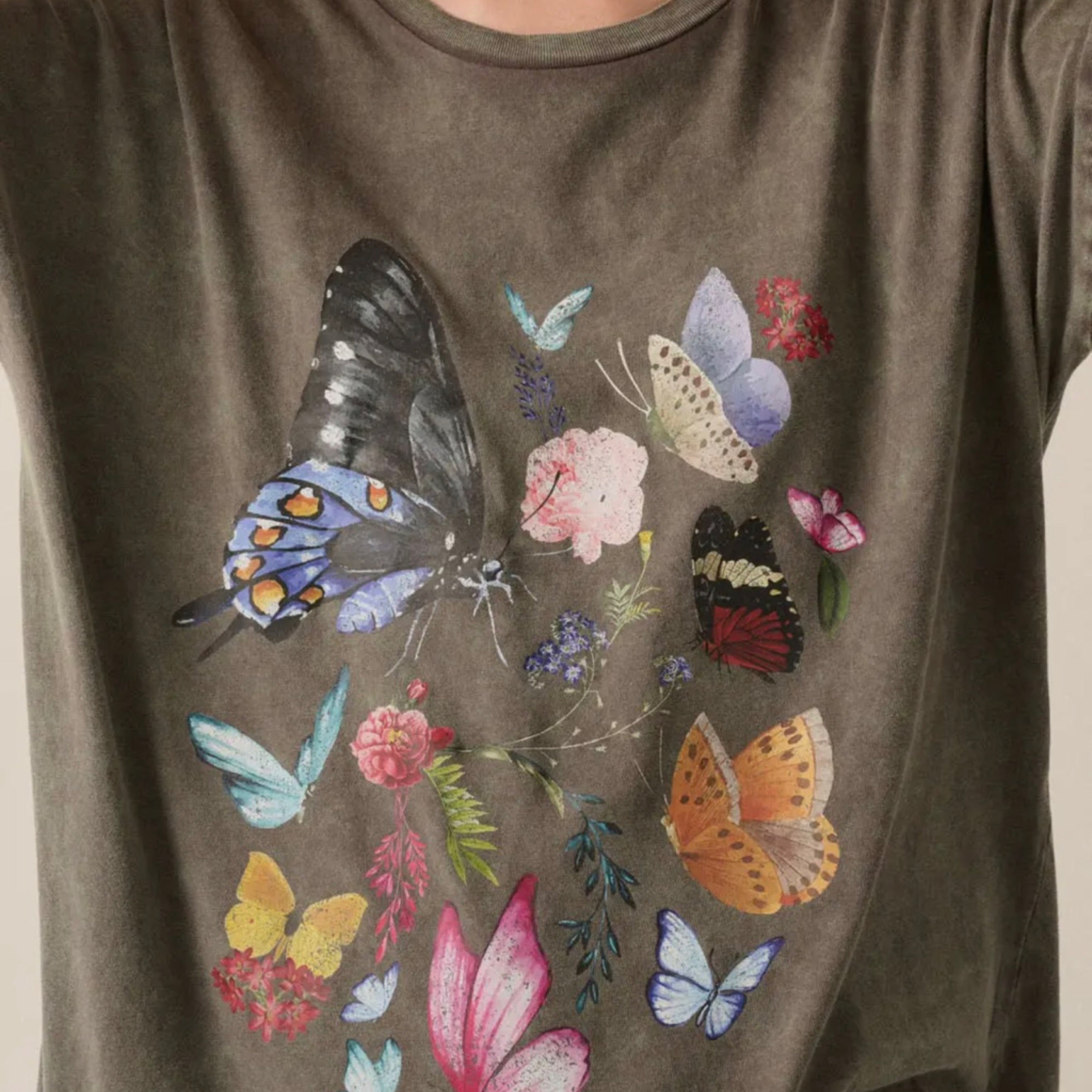 Grey Oversized Butterfly Graphic