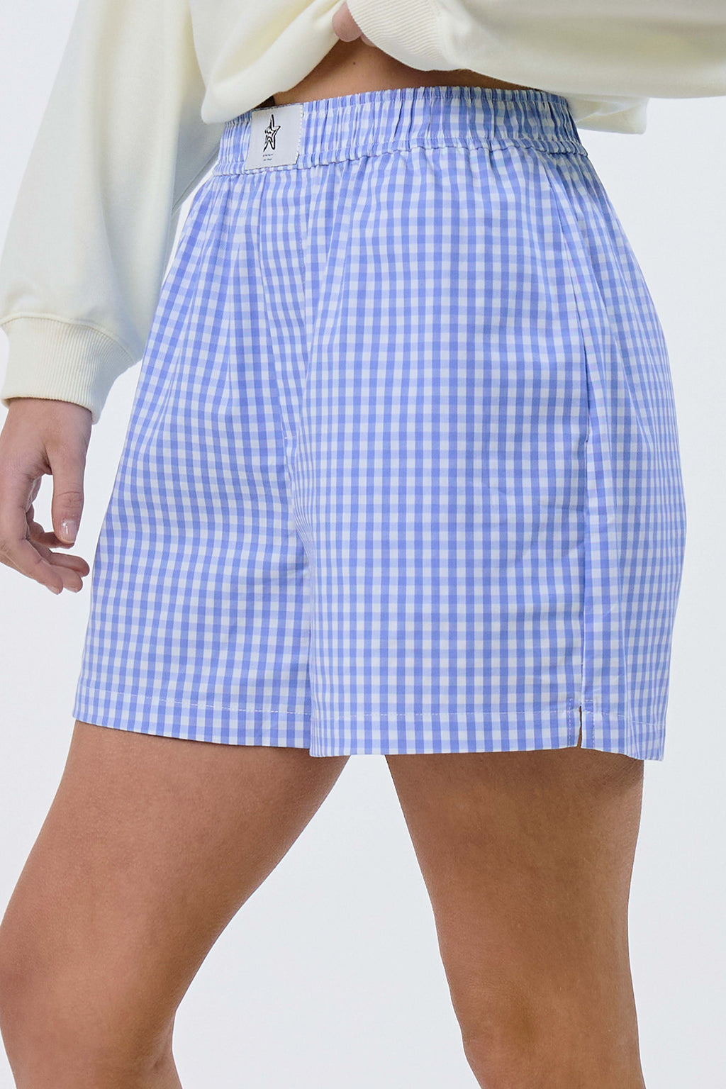 Gingham Boxer Shorts