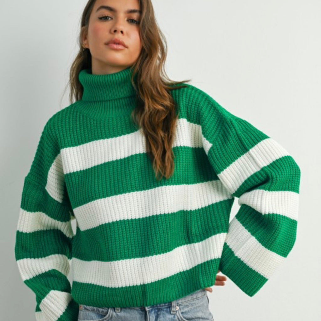 Chunky Turtleneck Stripe Sweater