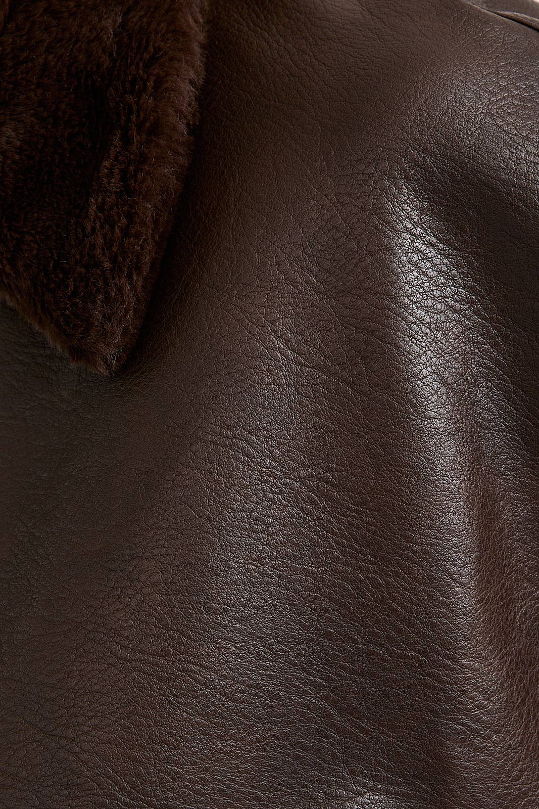 Phoebe Leather Coat